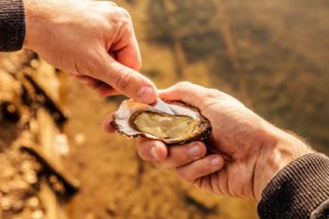 bienfaits-huitres-santé-consommation