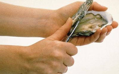 Comment ouvrir des huîtres sans se blesser